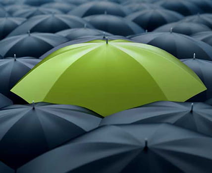 Green umbrella