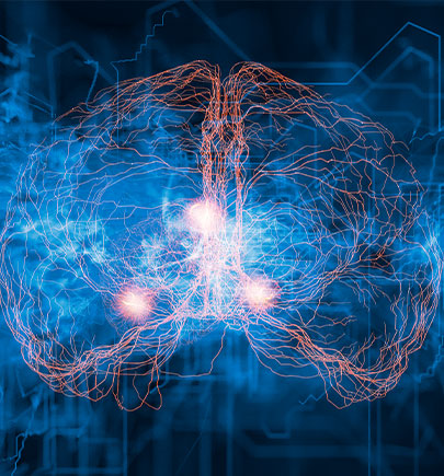 Brain model with synapses