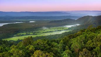 Daintree-Rainforest-Landscape