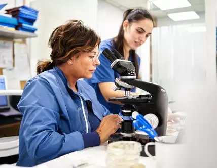 Staff members analyzing samples in a clinical analysis laboratory