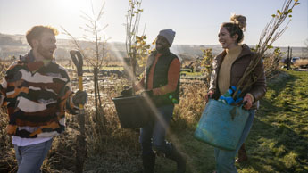 group planting trees together